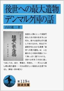 後世への最大遺物・デンマルク国の話の表紙